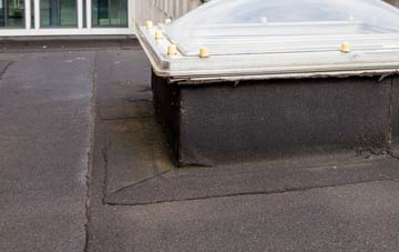 disadvantages of Banc Y Darren flat roofs